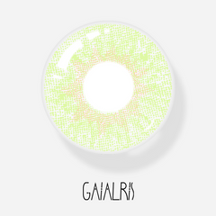 GaiaIris Ammonoidea Yellow 1 Year Contacts