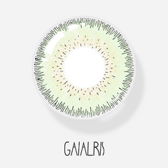 GaiaIris Gypsophila and Rutilated Quartz Green 1 Year Contacts